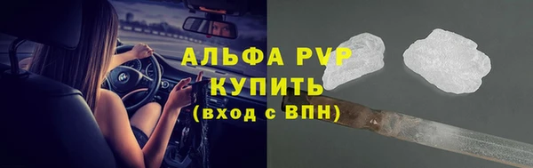 spice Аркадак