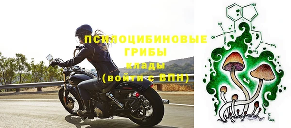 дурь Арсеньев