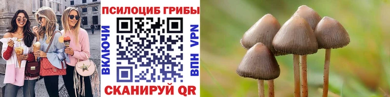 Галлюциногенные грибы Cubensis  купить   Лаишево 